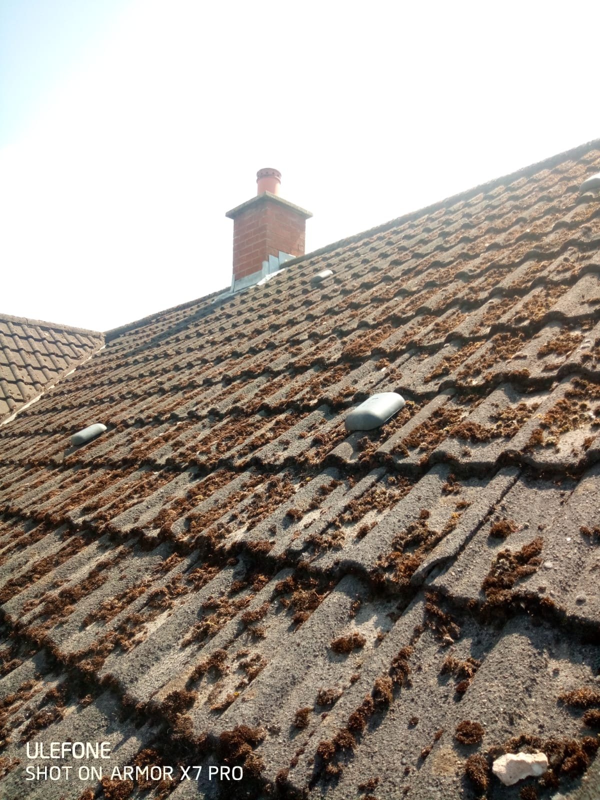 a dirty roof before STEM BSG completed Roof Cleaning Northern Ireland